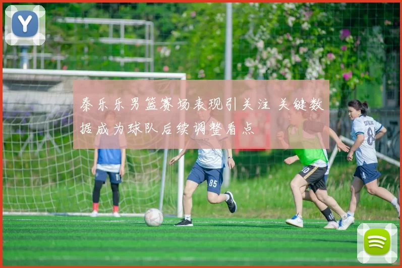 秦乐乐男篮赛场表现引关注 关键数据成为球队后续调整看点