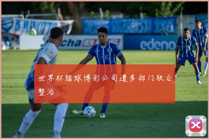 世界杯赌球博彩公司遭多部门联合整治