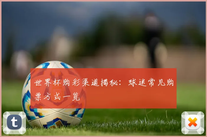 世界杯购彩渠道揭秘:球迷常见购票方式一览