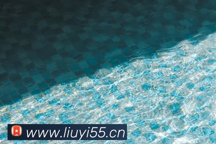 多媒体互动体验